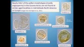 eocenepollen2.jpg