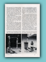 image115.jpg