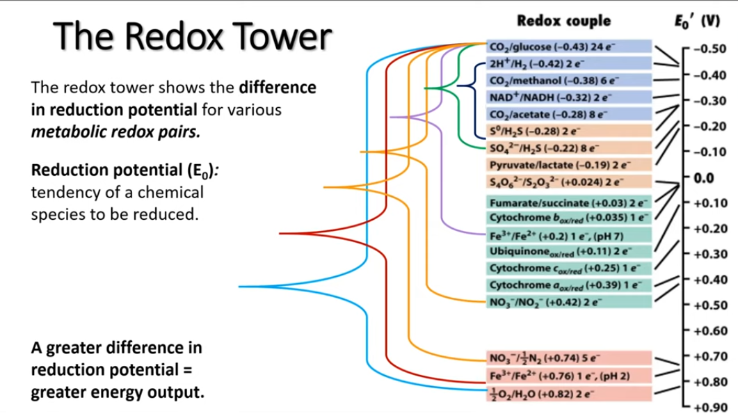redoxtower1